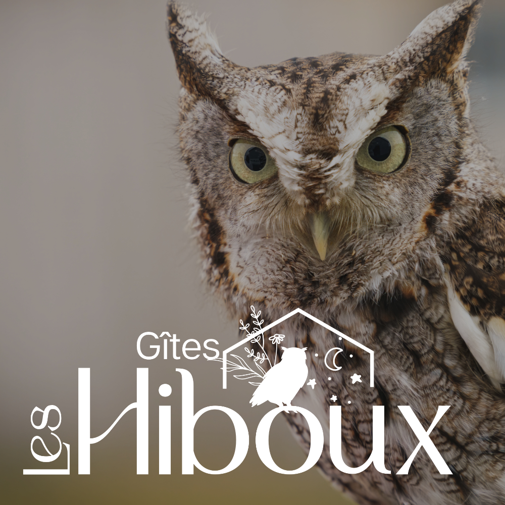 Gîtes les Hiboux