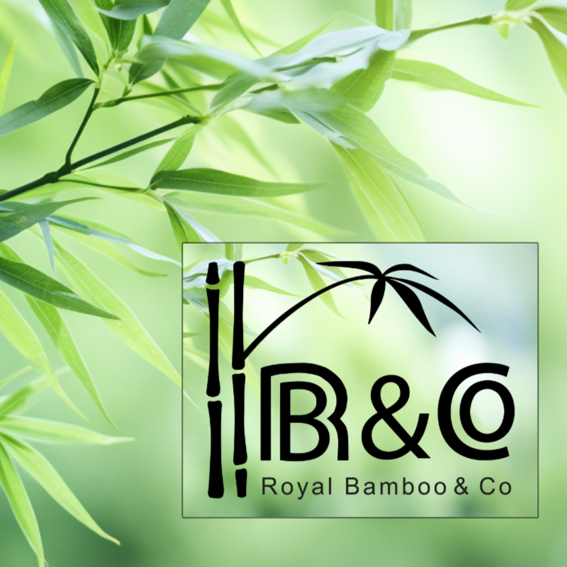Royal Bamboo & Co