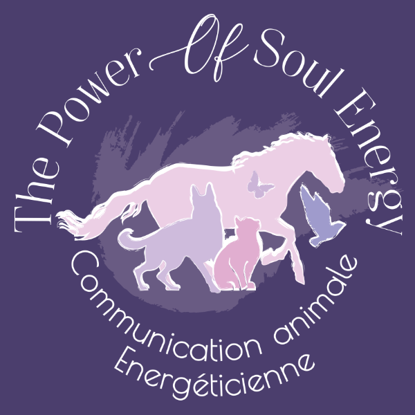 The Power of Soul Energy